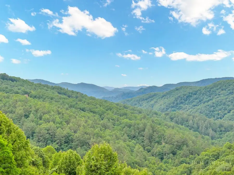 118 Paisley View, Lenoir, NC 28645 - #2