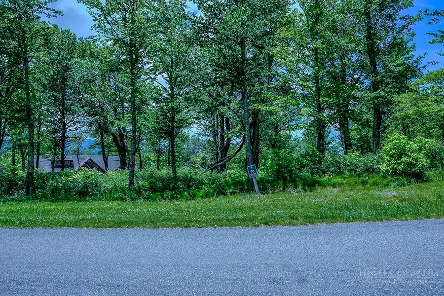 Lot 90 Moss Rock Lane, Sugar Mountain, NC 28657 - #2