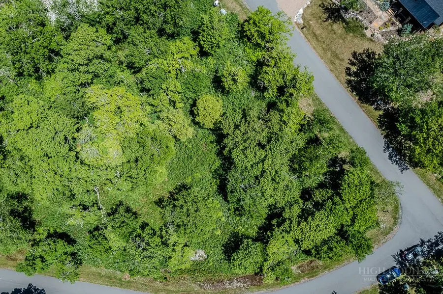 Lot 90 Moss Rock Lane, Sugar Mountain, NC 28657 - #3