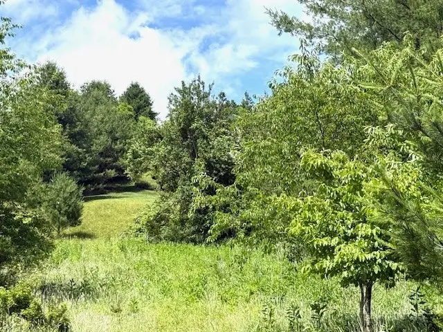 TBD Park View Drive, Jefferson, NC 28640 - #3