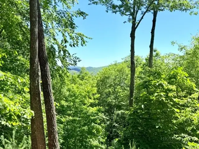 Lot 48 & 49 Davis Acres, West Jefferson, NC 28694 - #3