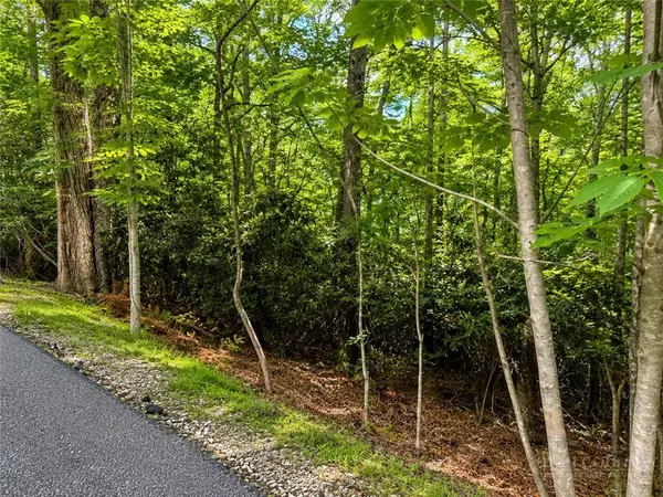 TBD Walnut Road, Boone, NC 28607
