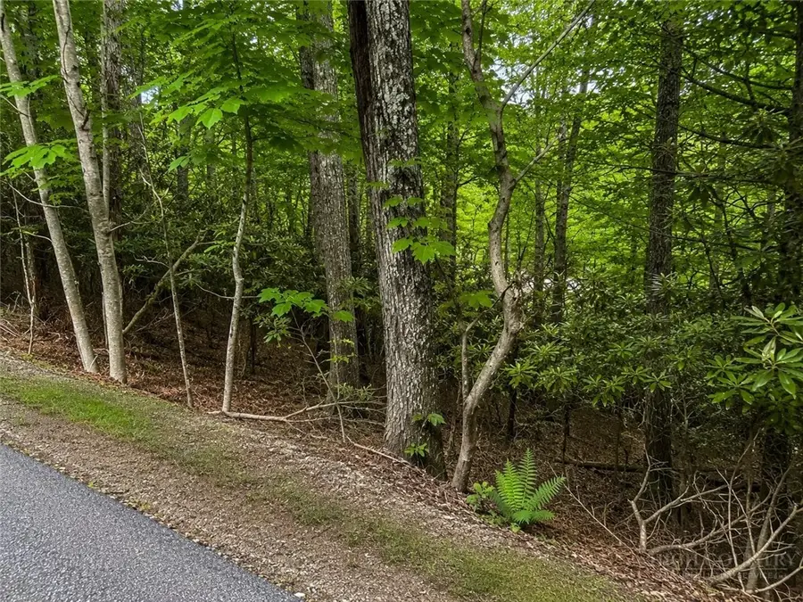 TBD Walnut Road, Boone, NC 28607 - #3