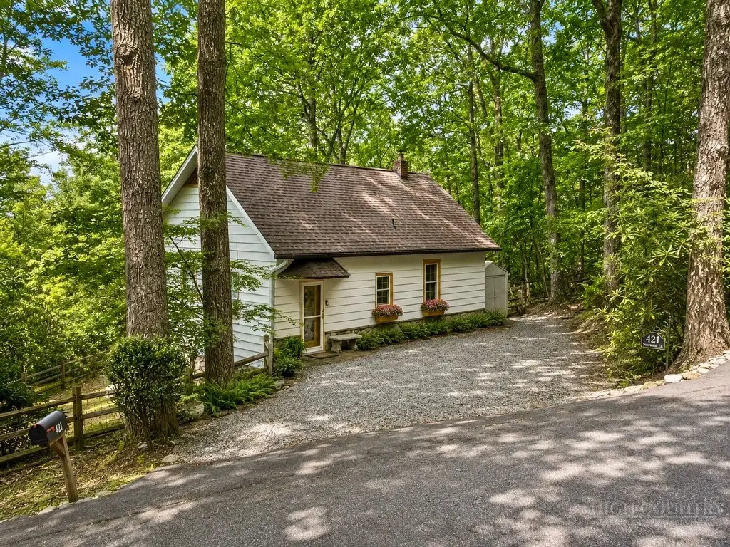 421 Sourwood Lane, Blowing Rock, NC 28605 - #1