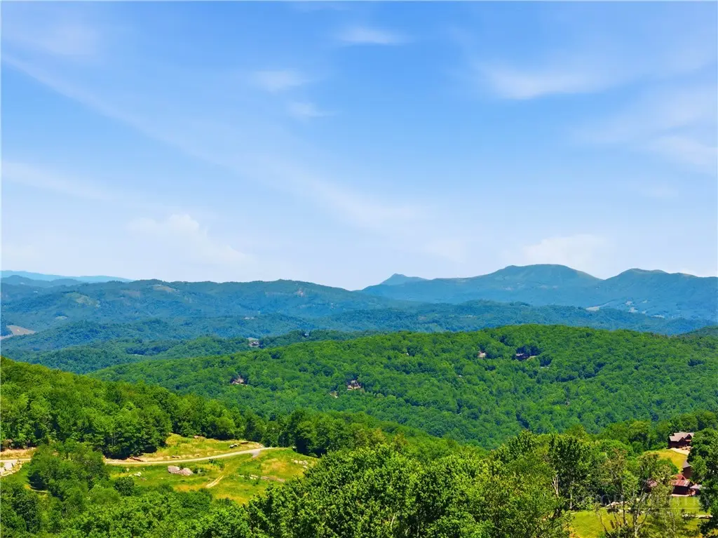 VV-4 Vineyard Trail, Banner Elk, NC 28604 - #1