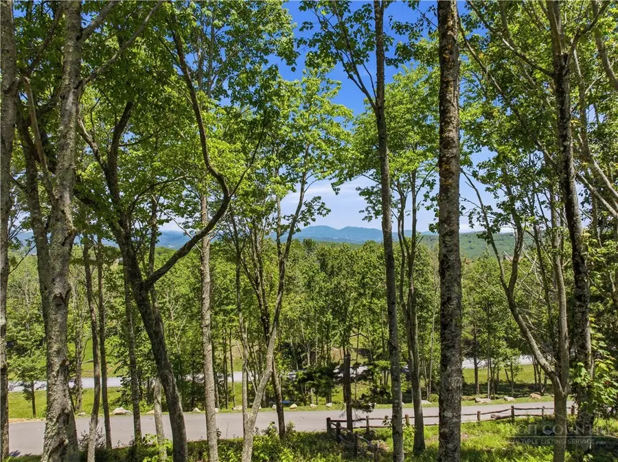 VV-4 Vineyard Trail, Banner Elk, NC 28604 - #3