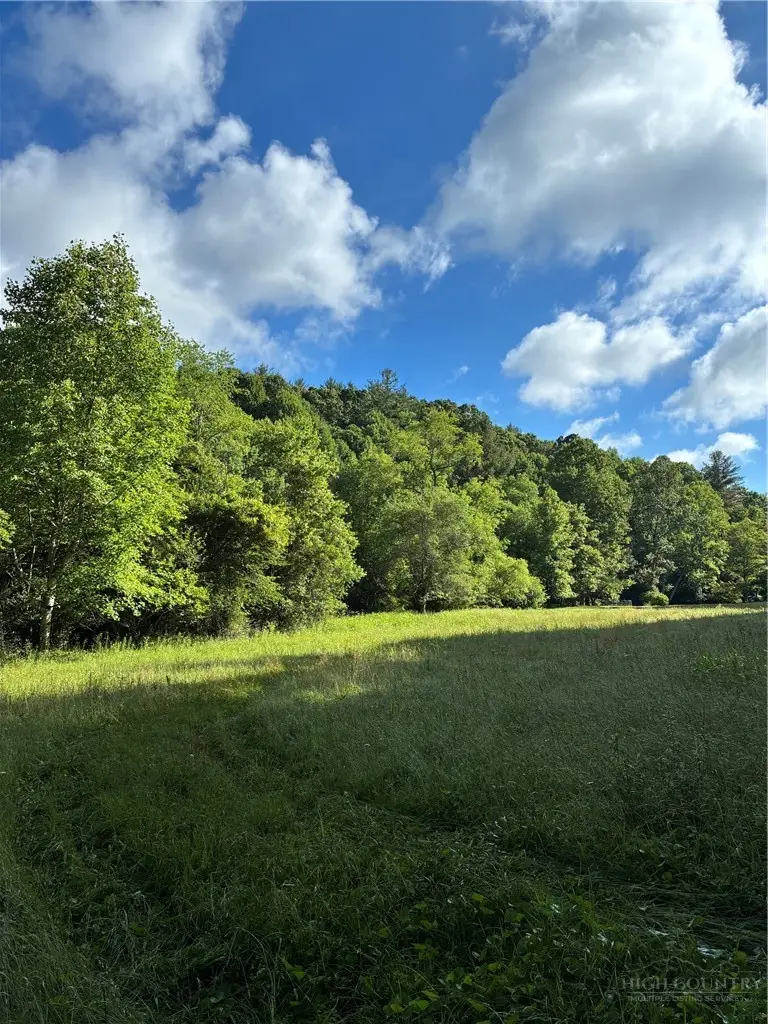 TBD Mt Zion Church Road, Piney Creek, NC 28663 - #2