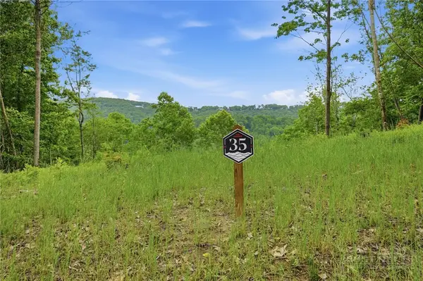 Lot 35 Little Tree Lane, Elk Park, NC 28622