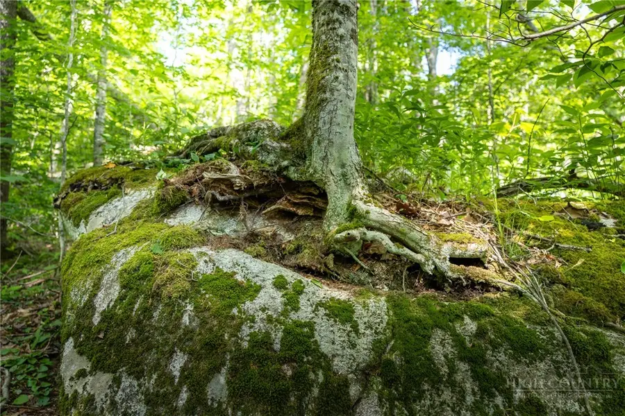 G14 Great Camp Trail, Banner Elk, NC 28604 - #3