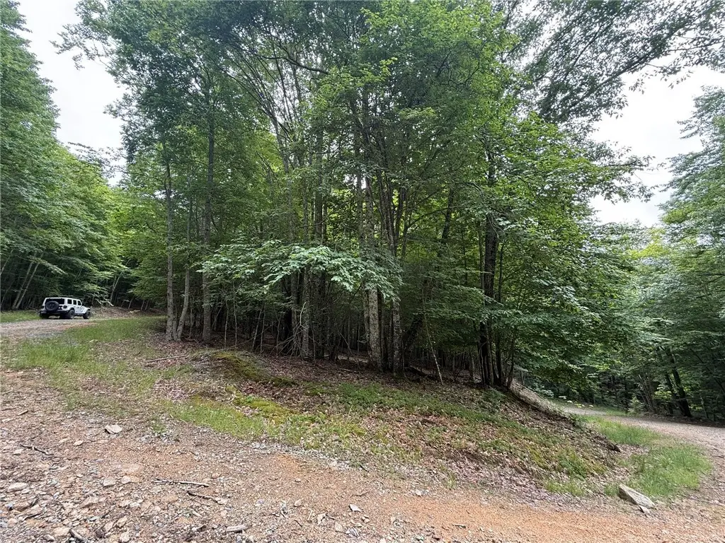 139 Red Fox Lane, Beech Mountain, NC 28604 - #1