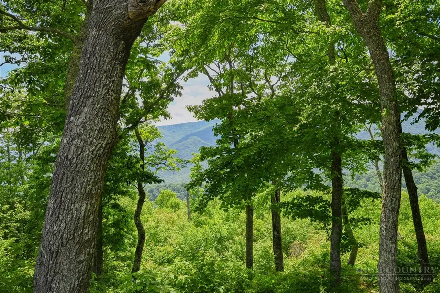 Lot 11 Mountain Laurel Parkway, Ingalls, NC 28604 - #2