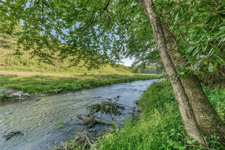 473 Cow Camp Road, Newland, NC 28657 - #3