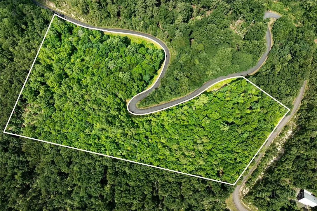 Lot 12 Callalantee Drive, Mountain City, TN 37683 - #1
