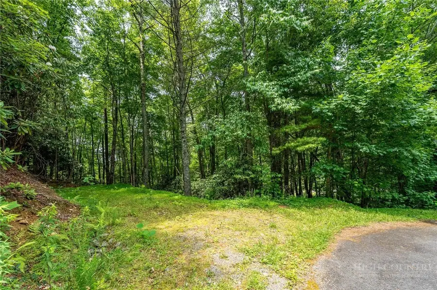 Lot 12 Callalantee Drive, Mountain City, TN 37683 - #2