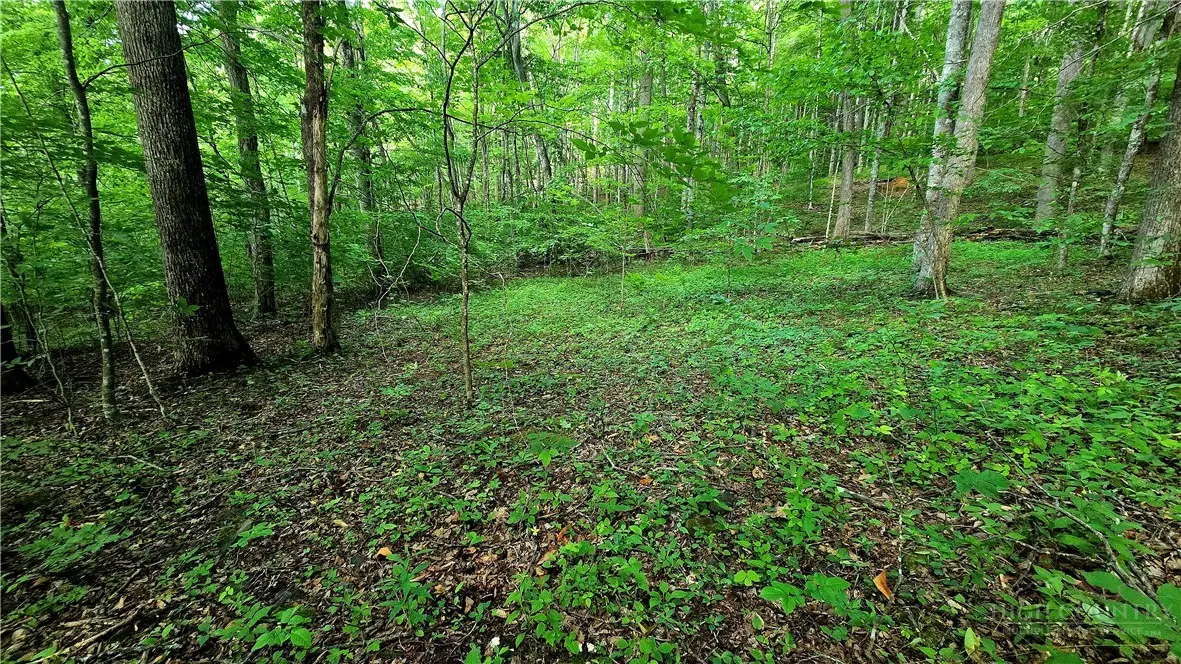Lot 11 Elk Creek Mountain Prkwy, Todd, NC 28684 - #1