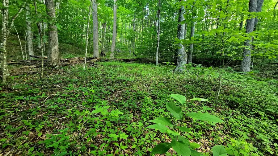 Lot 11 Elk Creek Mountain Prkwy, Todd, NC 28684 - #3