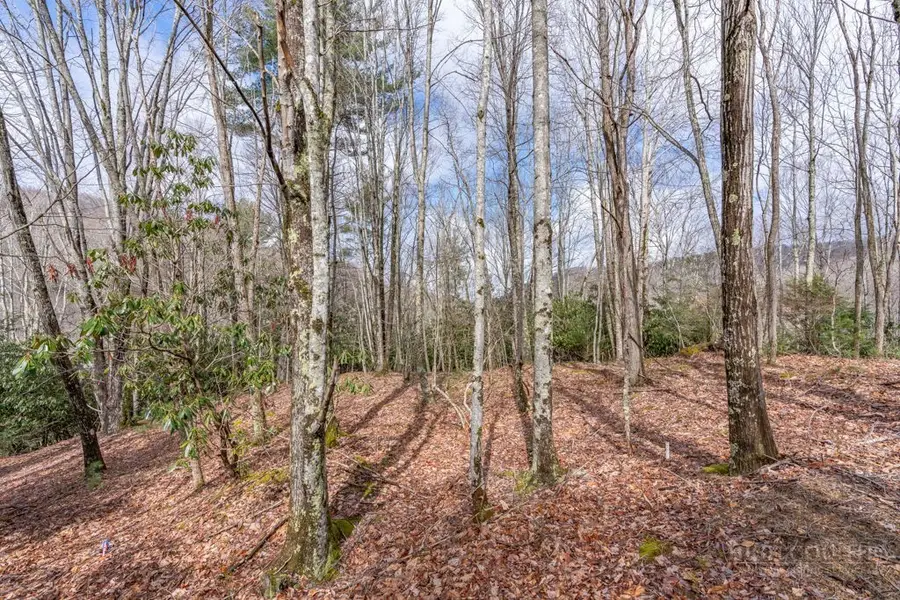 107 Chicory Lane, Beech Mountain, NC 28604 - #2