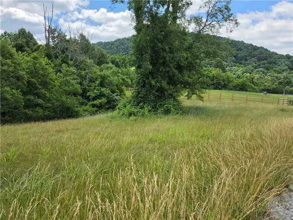 Lot 4 Toms Knob Road #4, Sparta, NC 28644