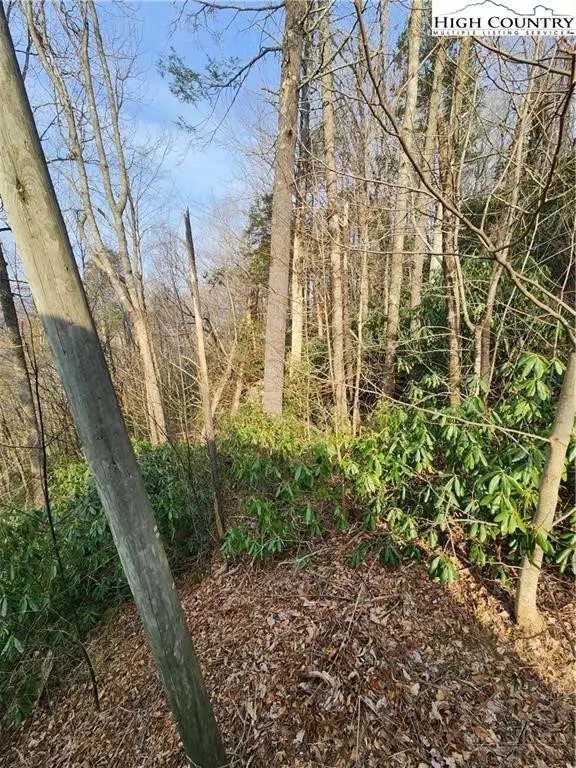TBD Poplar Ridge Road, Banner Elk, NC 28604