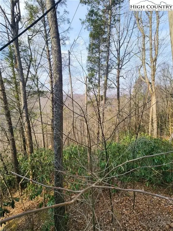 TBD Poplar Ridge Road, Banner Elk, NC 28604 - #3