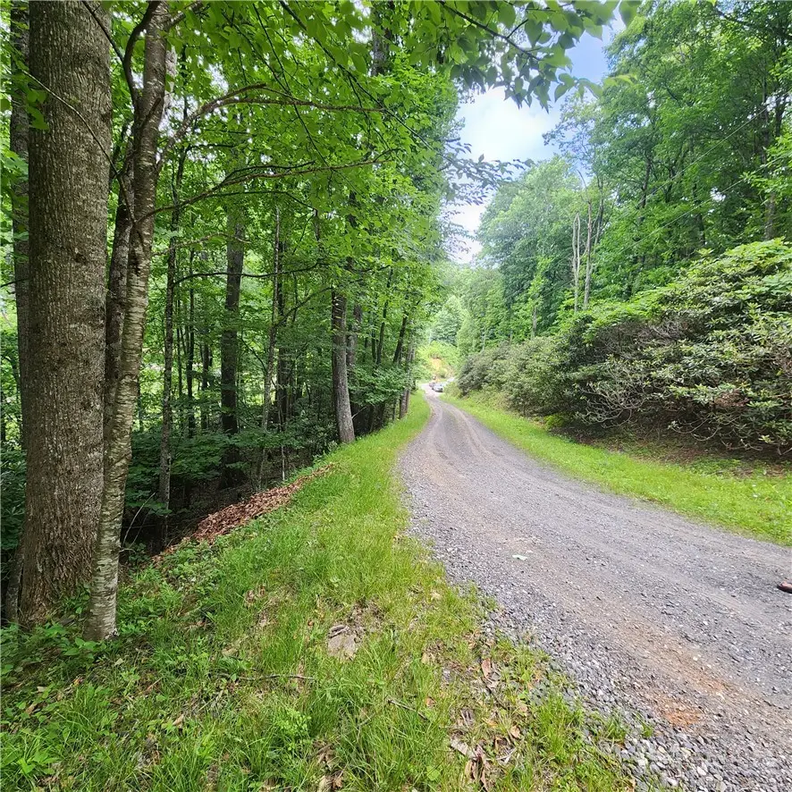 00 Ravens Roost Ridge, Fleetwood, NC 28626 - #2