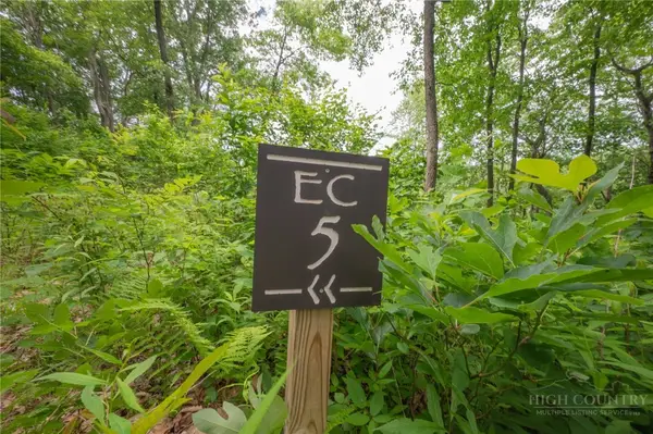 Lot EC-5 Eagle Crest Trail, Elk Park, NC 28622