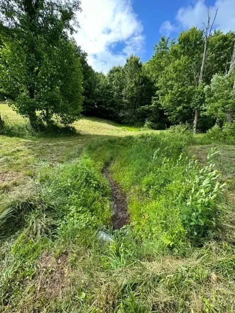 TBD Comers Rock Rd., Elk Creek, VA 24326 - #3