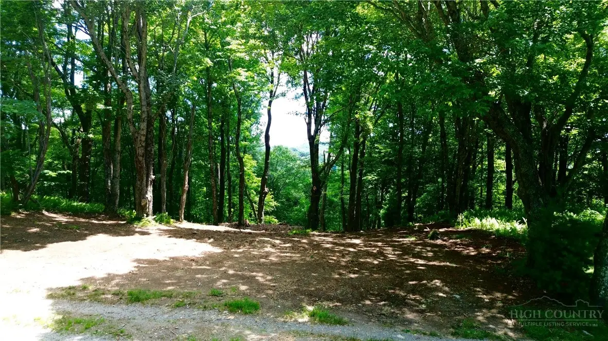 TBD Mountain Song Road, Blowing Rock, NC 28605 - #1