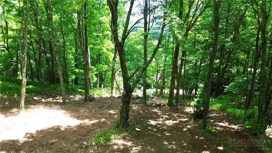 TBD Mountain Song Road, Blowing Rock, NC 28605 - #3