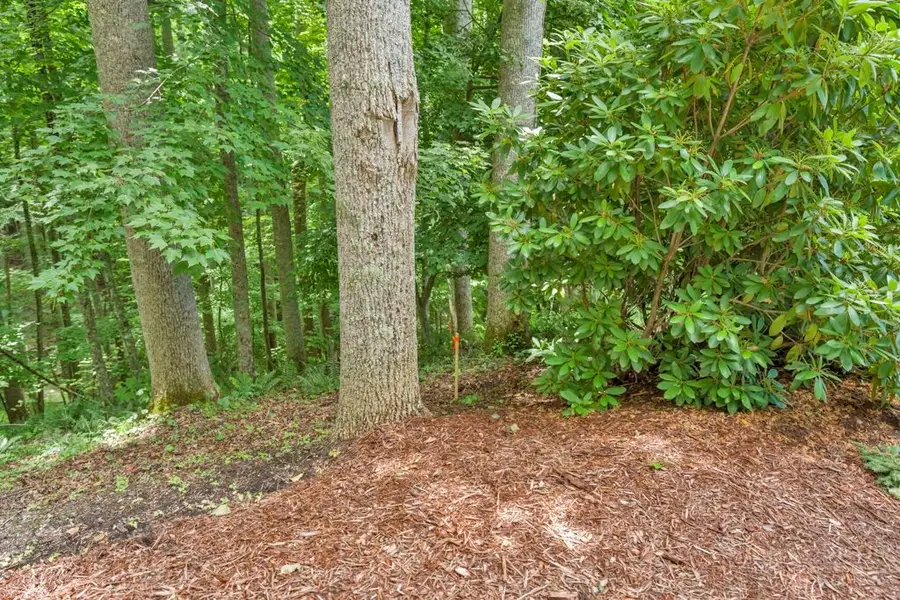 B & C Lost Branch Trail, Vilas, NC 28692 - #3