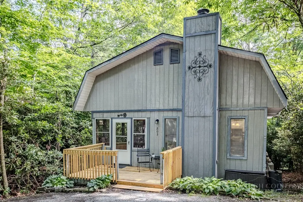 203 Elderberry Loop, Newland, NC 28657 - #1