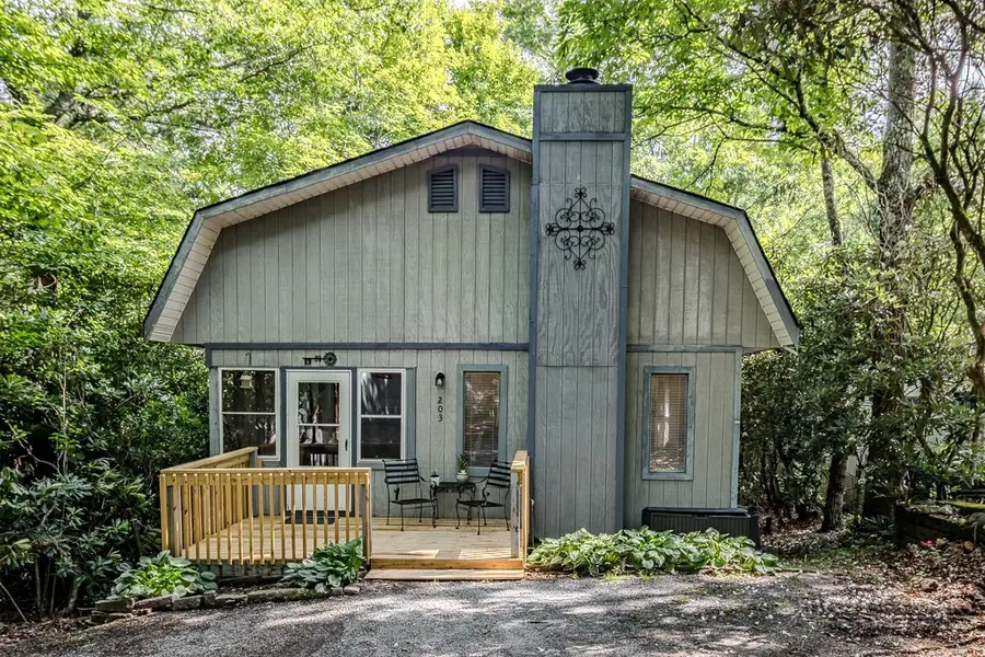 203 Elderberry Loop, Newland, NC 28657 - #2
