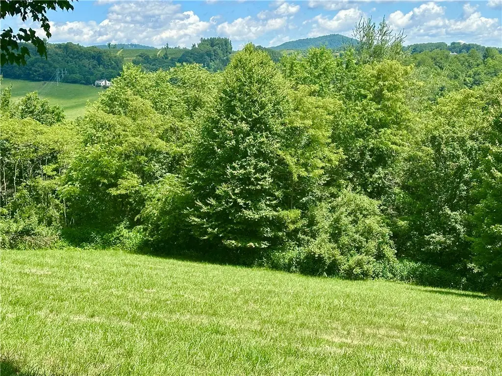 TBD Pinnacle Ridge Road, Jefferson, NC 28640 - #1