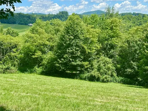 TBD Pinnacle Ridge Road, Jefferson, NC 28640