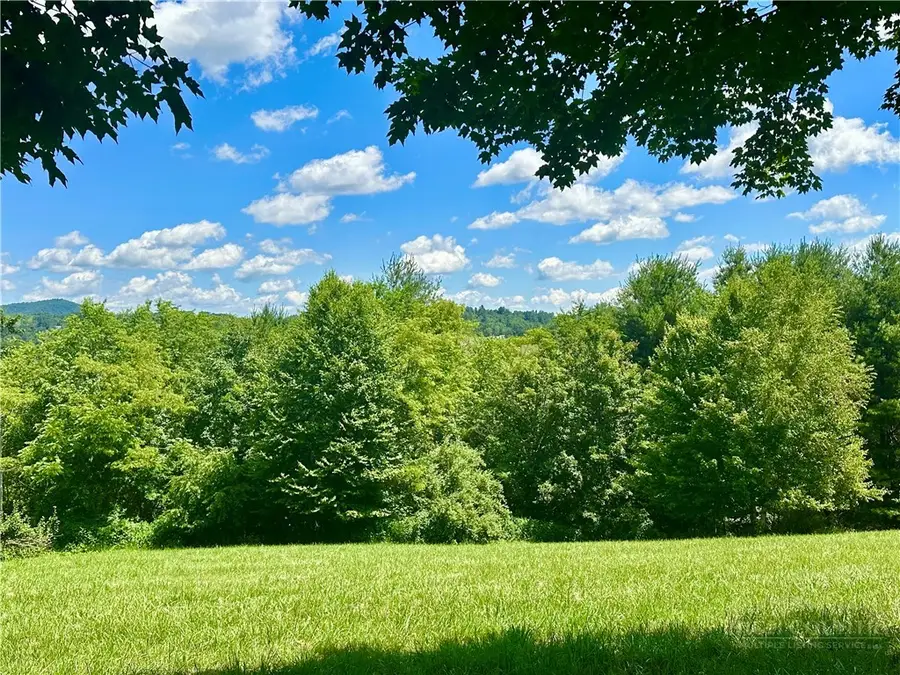 TBD Pinnacle Ridge Road, Jefferson, NC 28640 - #2