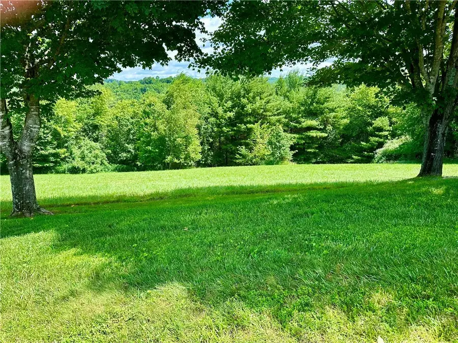 TBD Pinnacle Ridge Road, Jefferson, NC 28640 - #3
