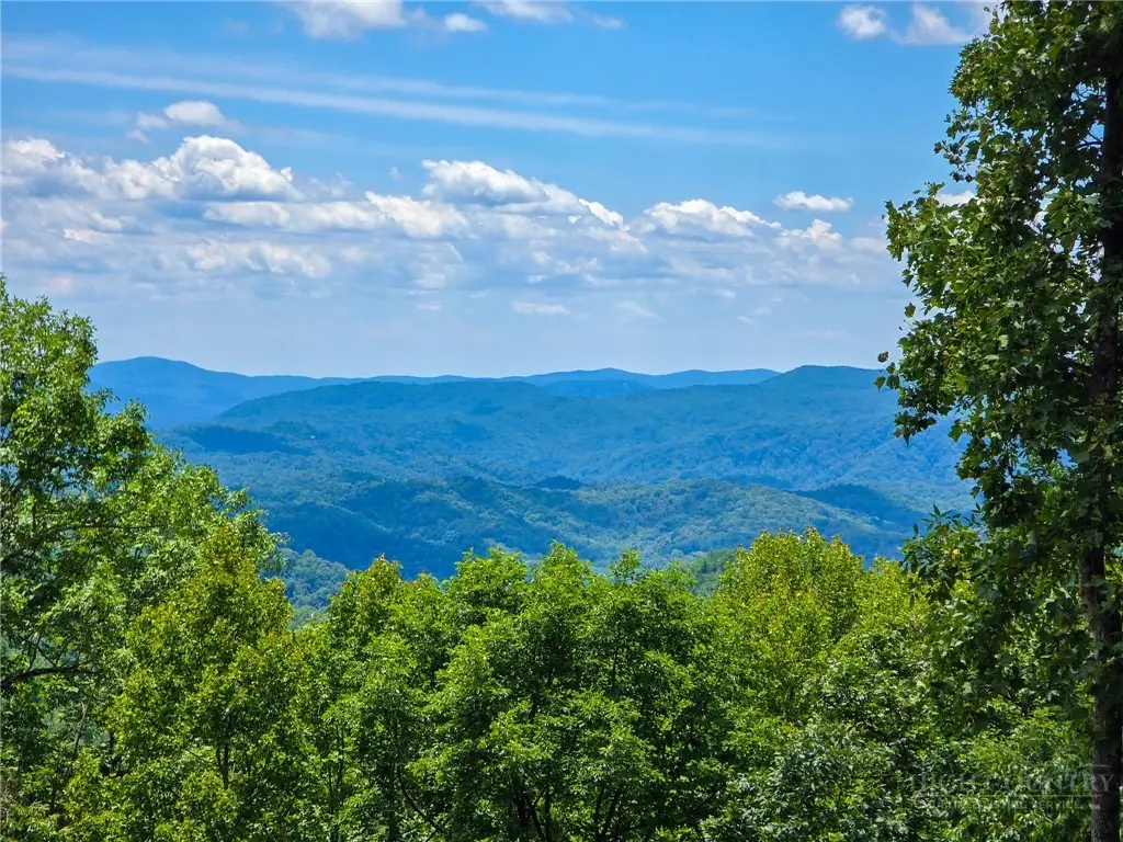 Lot 121 Wildcat Wilderness Parkway, Deep Gap, NC 28618 - #1