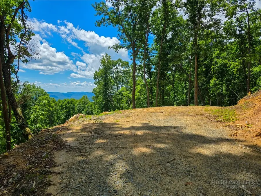 Lot 121 Wildcat Wilderness Parkway, Deep Gap, NC 28618 - #2