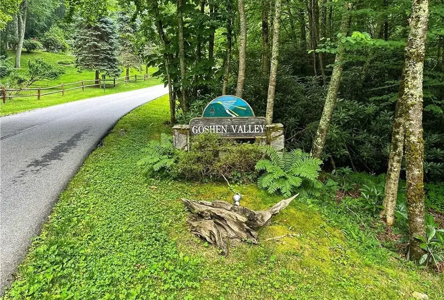 TBD Goshen Drive, Boone, NC 28607 - #2