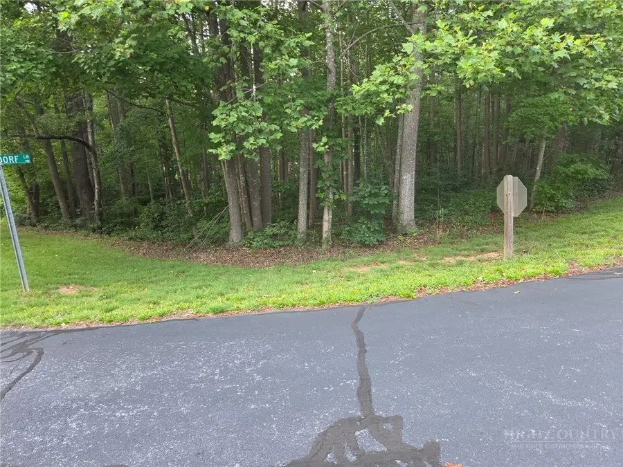TBD W Meadow Parkway, Moravian Falls, NC 28654 - #3