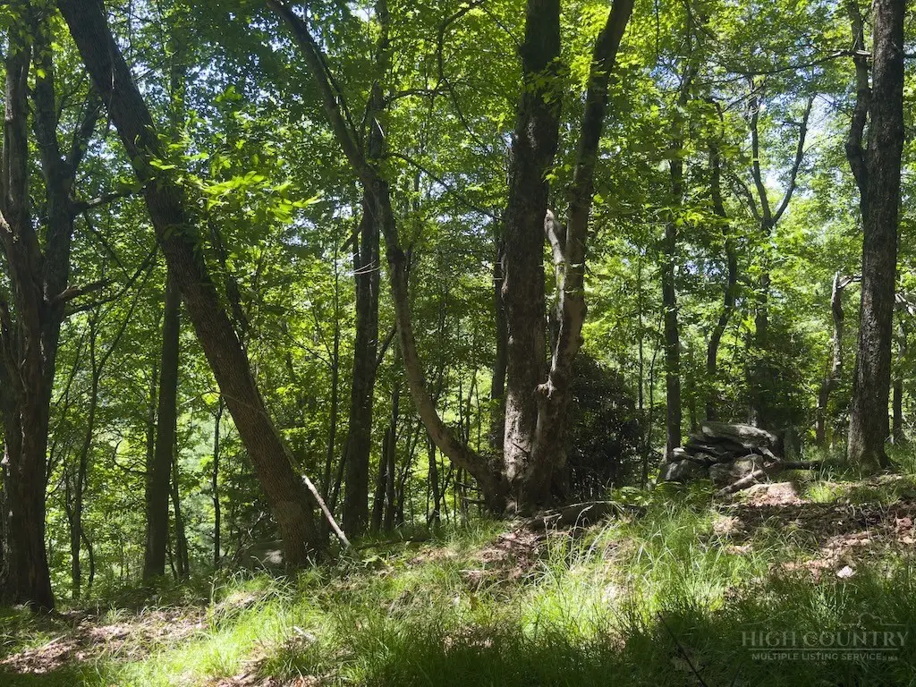 TBD Grandview Dr. Extension, Boone, NC 28607 - #1