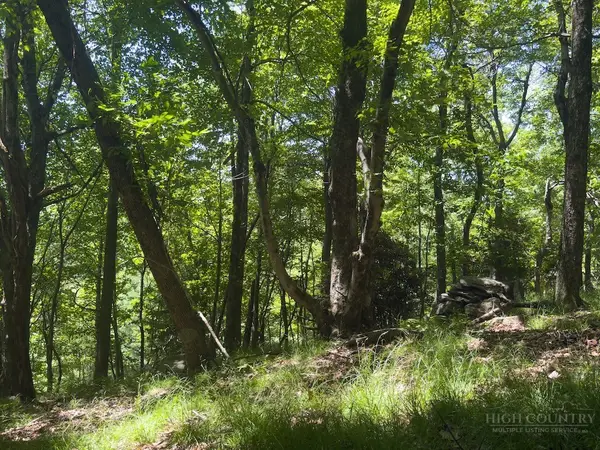 TBD Grandview Dr. Extension, Boone, NC 28607