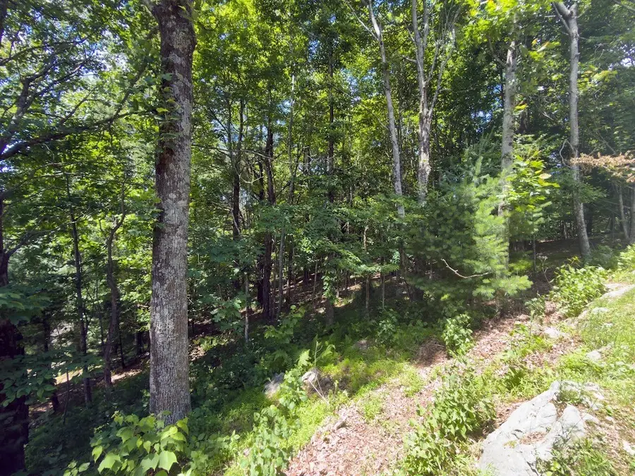 TBD Grandview Dr. Extension, Boone, NC 28607 - #2