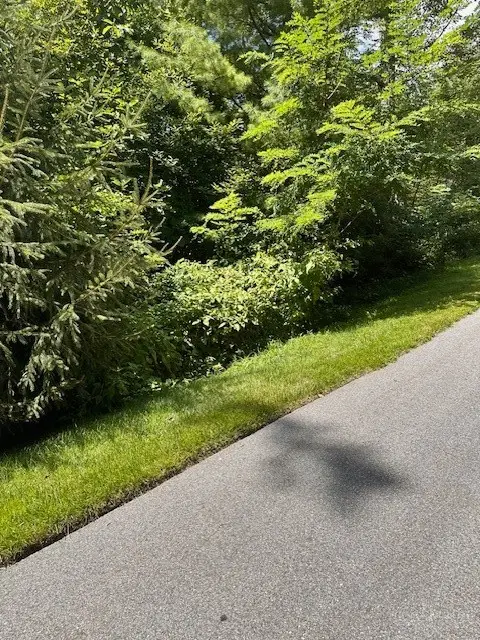 lot 17 Farm Loop Road, Banner Elk, NC 28604 - #1