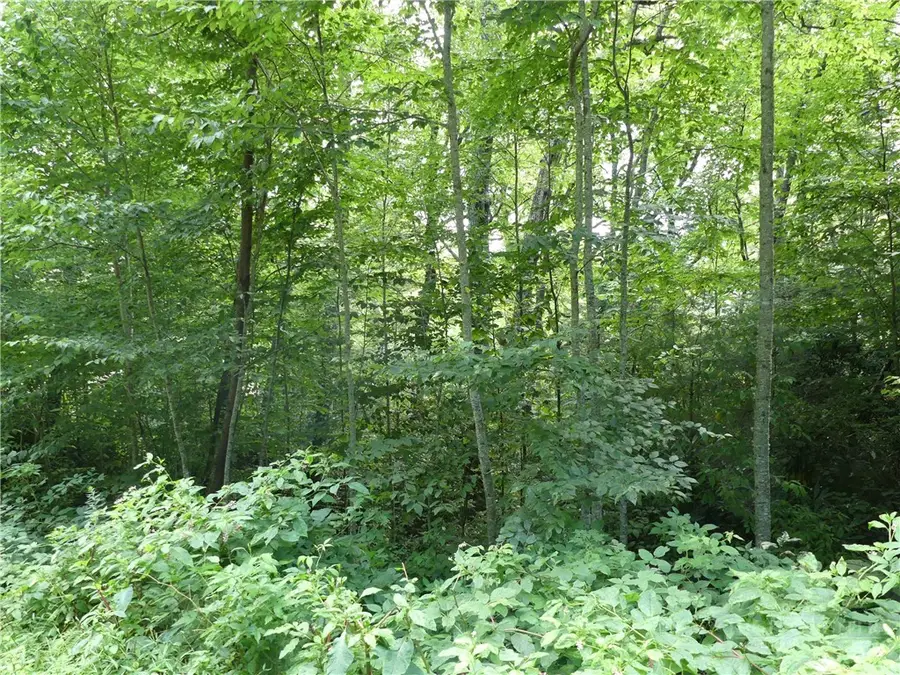 lot 17 Farm Loop Road, Banner Elk, NC 28604 - #3