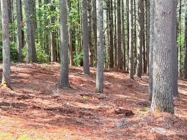 Lot 37 Smoke Rise Path, West Jefferson, NC 28694 - #2