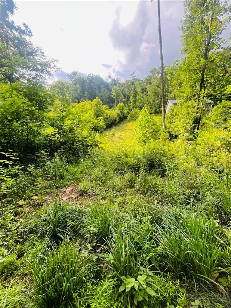 TBD Woodstown Road, Fleetwood, NC 28626 - #1