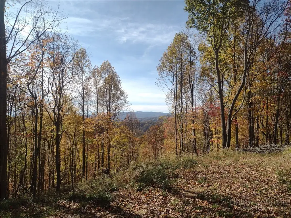 TBD N Us Hwy 421, Zionville, NC 28698 - #1