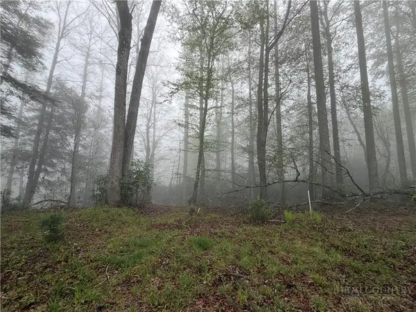 Lot 115R Autumn Blaze Trail, Blowing Rock, NC 28605
