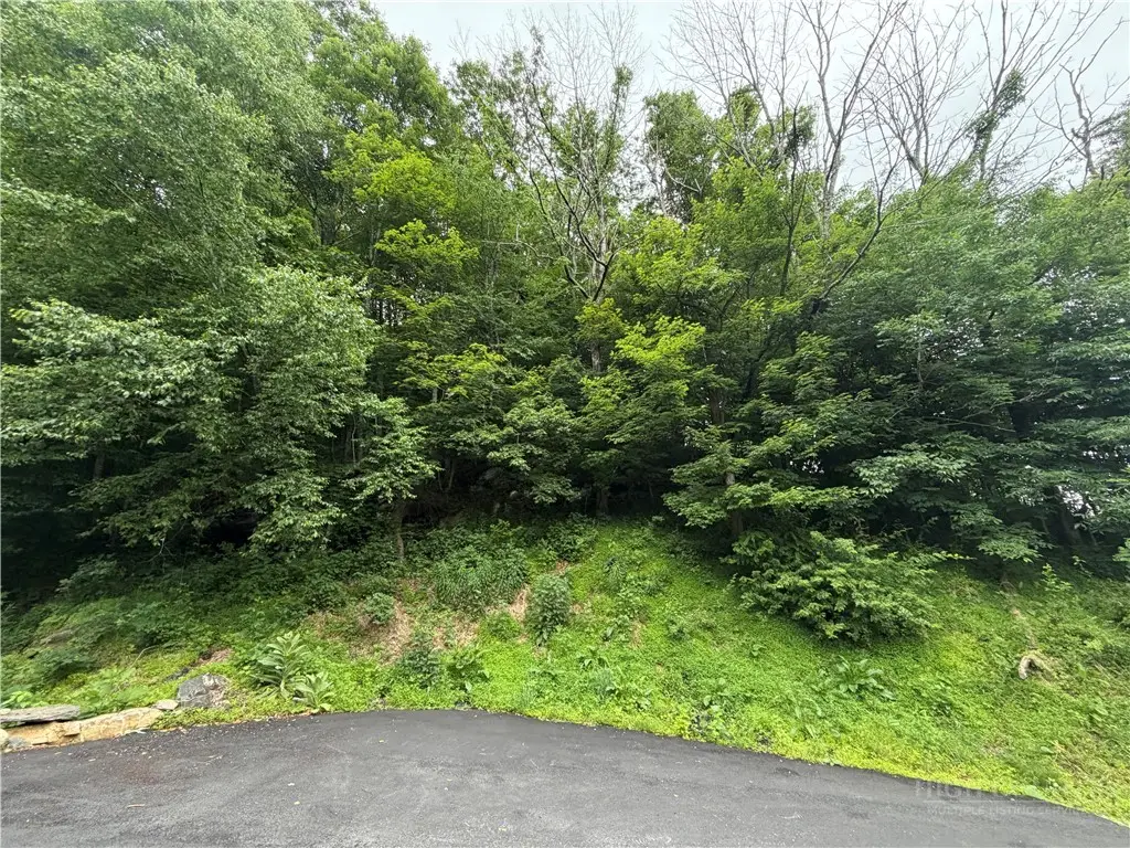 TBD Johns Mountain Road, Vilas, NC 28692 - #1